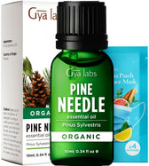 Organic Pine Needle Essential Oil 0.34 Fl Oz