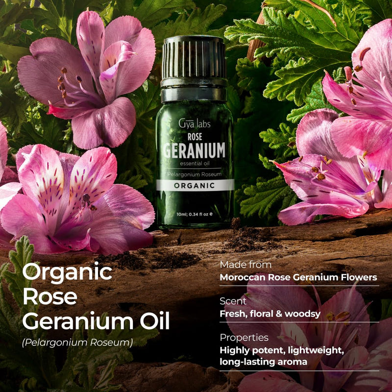 Organic Rose Geranium Essential Oil 0.34 Fl Oz
