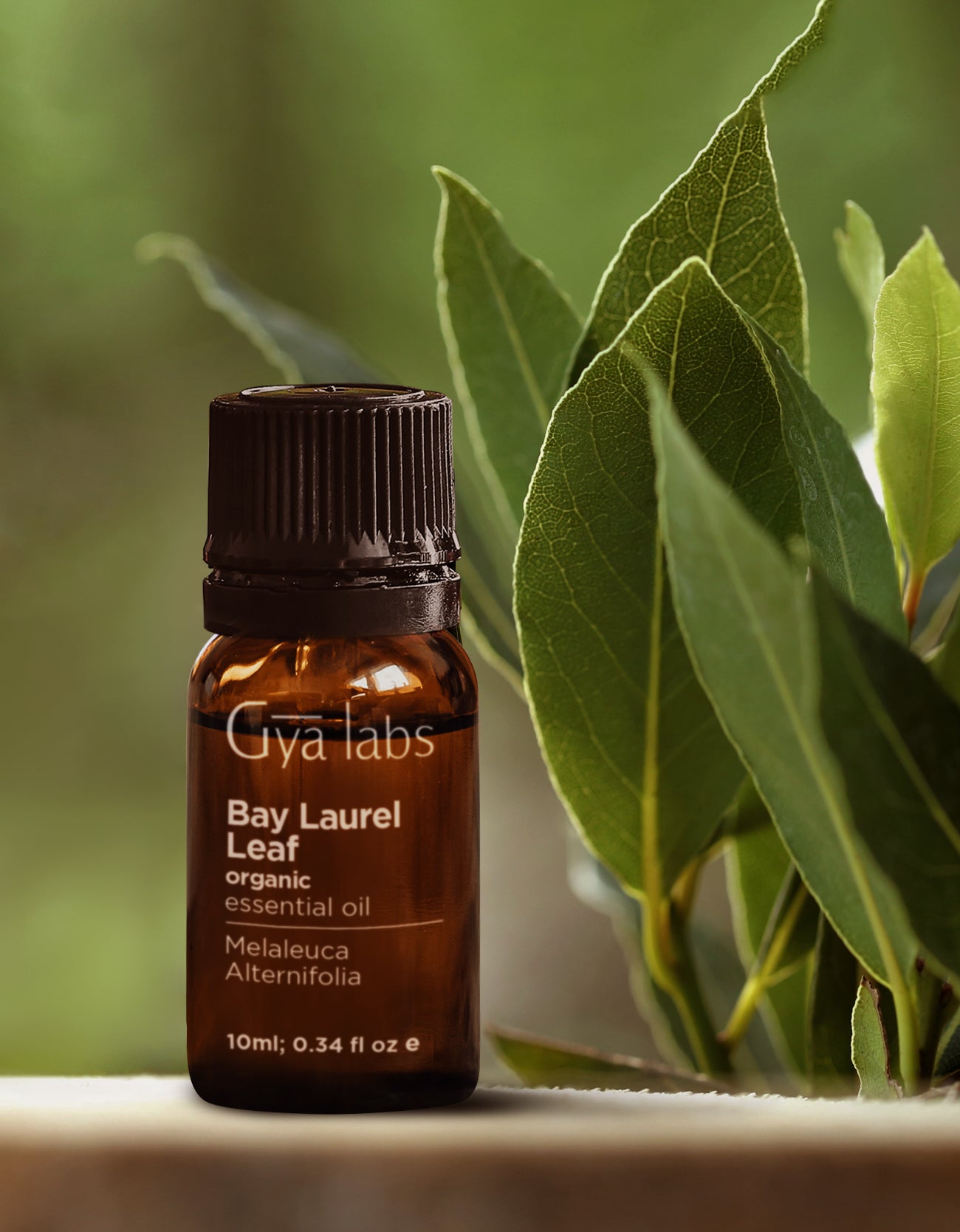 Organic Bay Leaf Oil