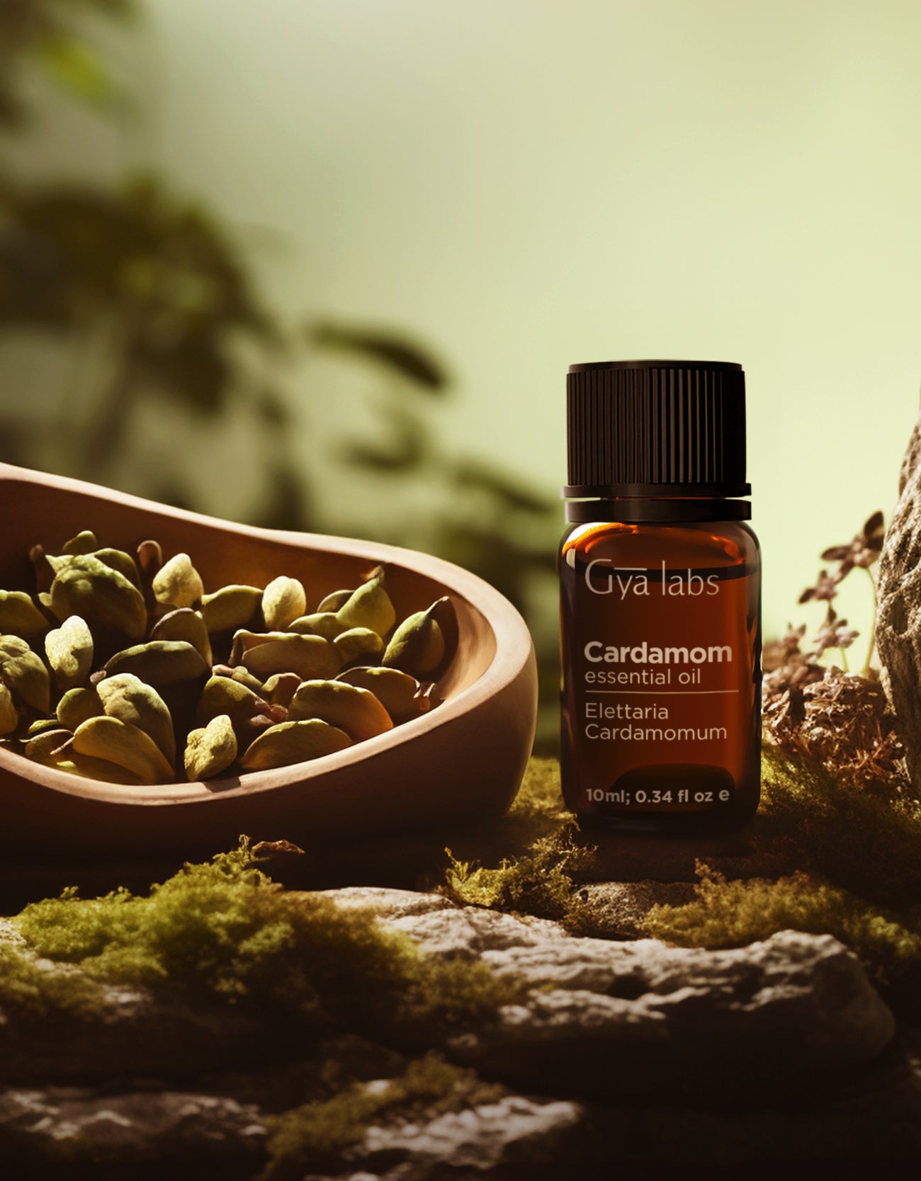 Cardamom Oil