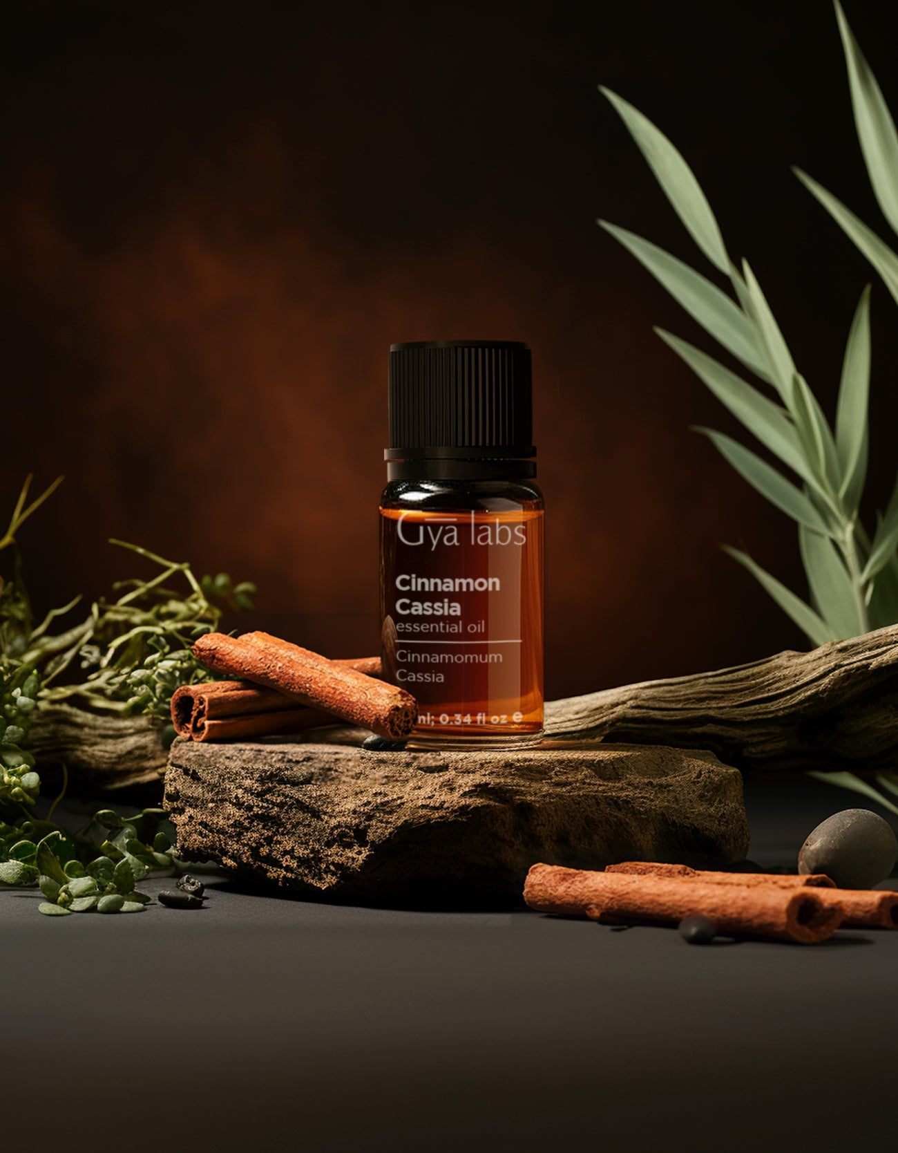 Cinnamon Cassia Essential Oil