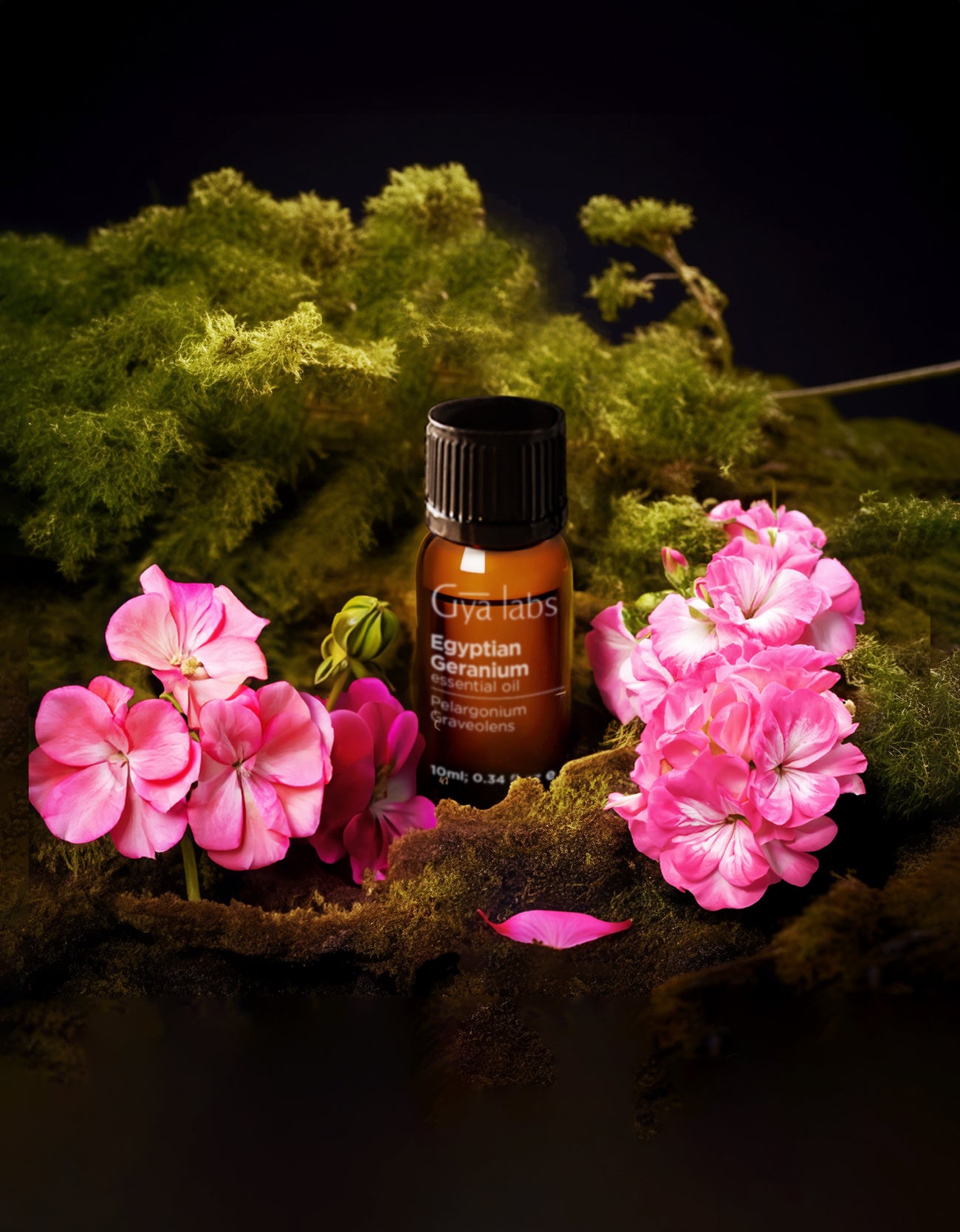 Egyptian Geranium Oil