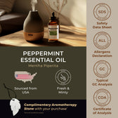 Peppermint Essential Oil with Aromatherapy Stone 4 Fl Oz