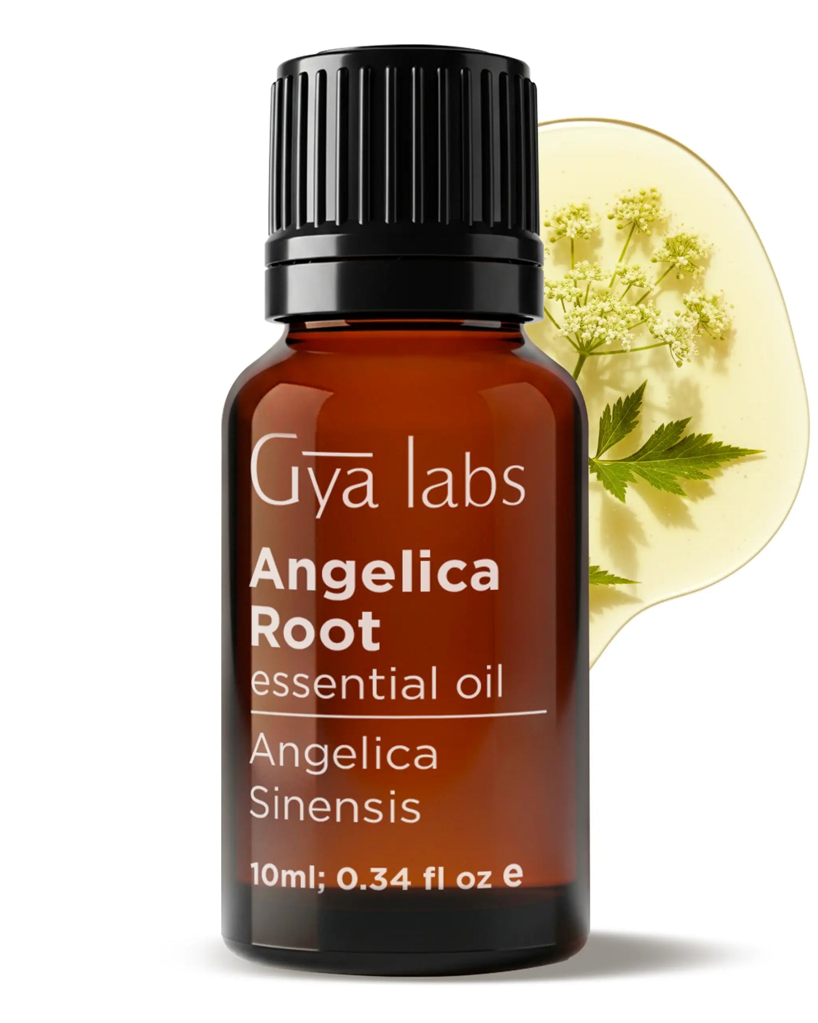 Angelica Root Oil