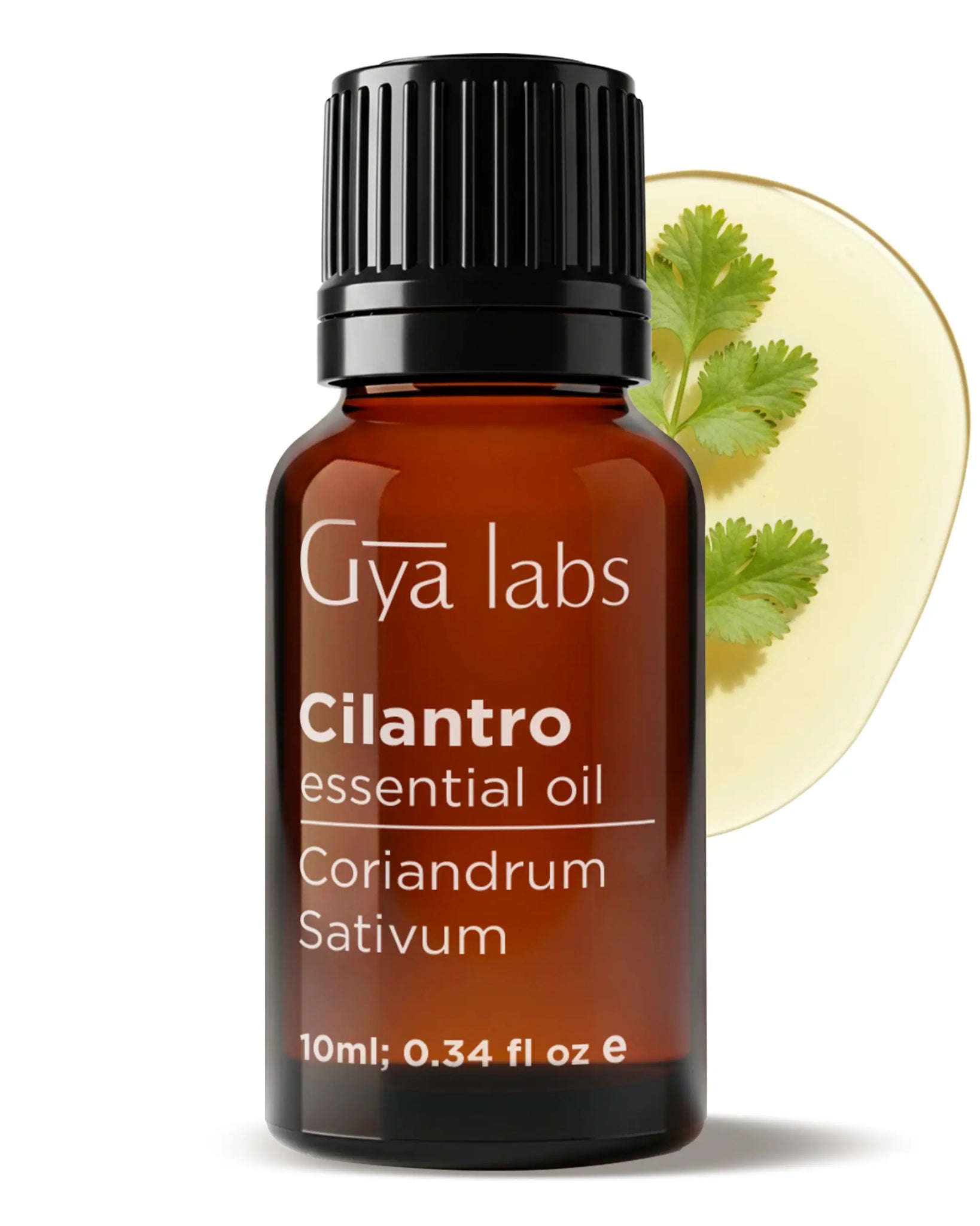 Cilantro Oil