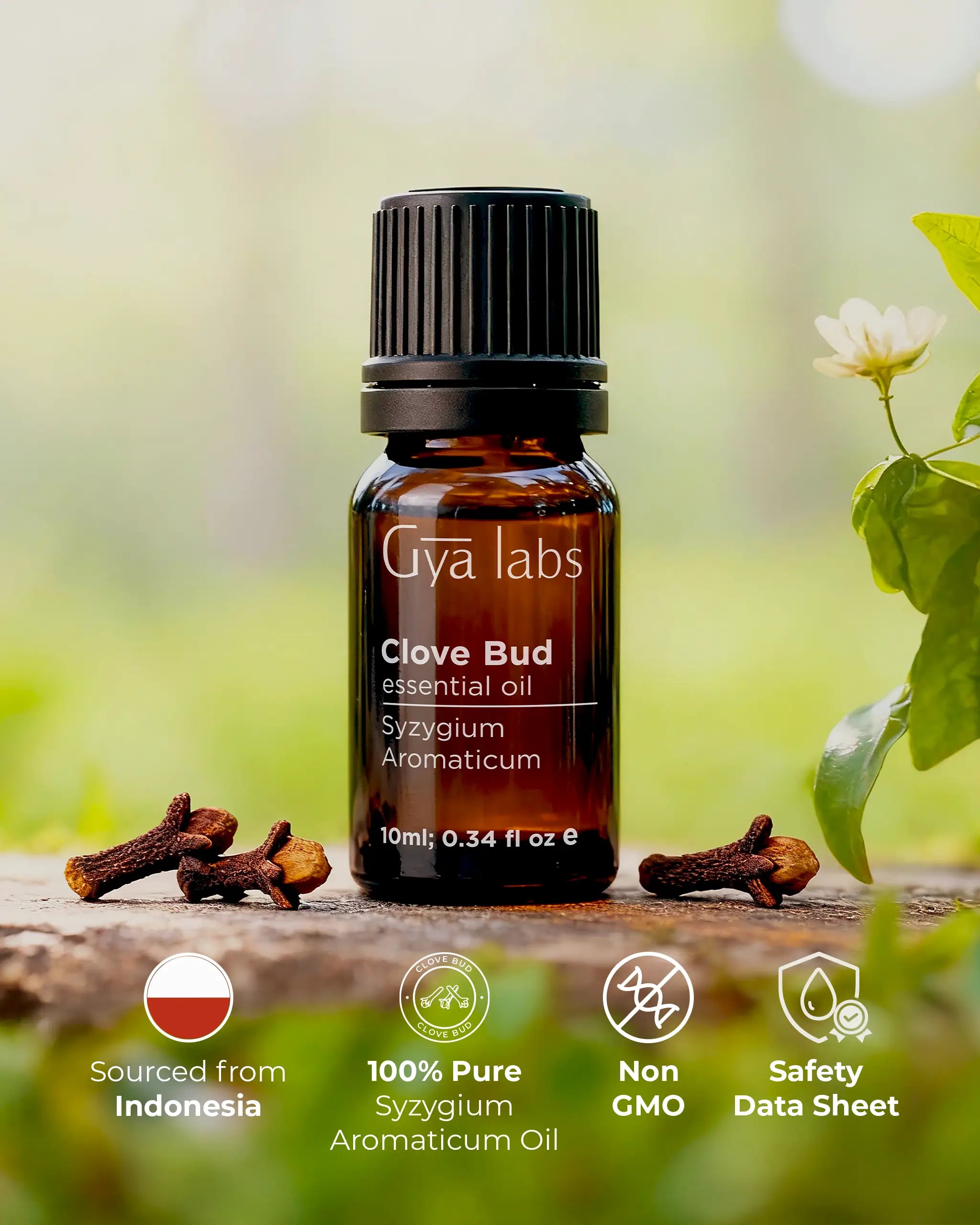 Clove Bud Oil