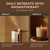 Eucalyptus Essential Oil with Aromatherapy Stone 4 Fl Oz