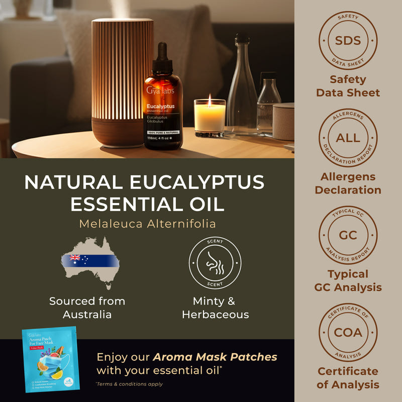 Eucalyptus Essential Oil with Aromatherapy Stone 4 Fl Oz