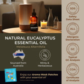 Eucalyptus Essential Oil with Aromatherapy Stone 4 Fl Oz