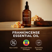 Frankincense Essential Oil with Aromatherapy Stone 4 Fl Oz