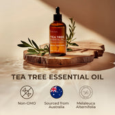 Tea Tree Essential Oil with Aromatherapy Stone 4 Fl Oz