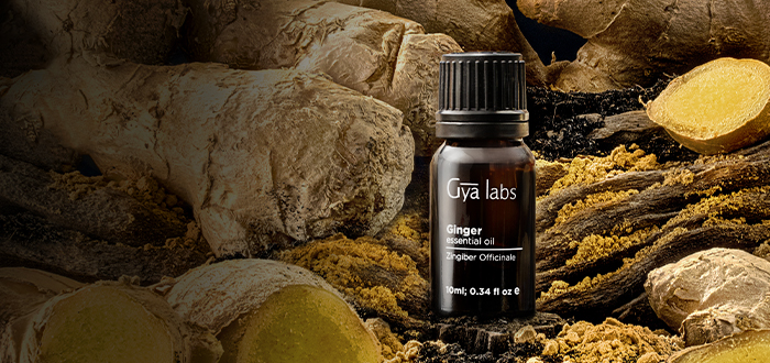 Gya Labs Pure Vanilla Essential Oil for Diffuser - 100% Natural Vanilla  Essential Oil for Skin - Long Lasting Vanilla Oil Perfume (0.34 fl oz)