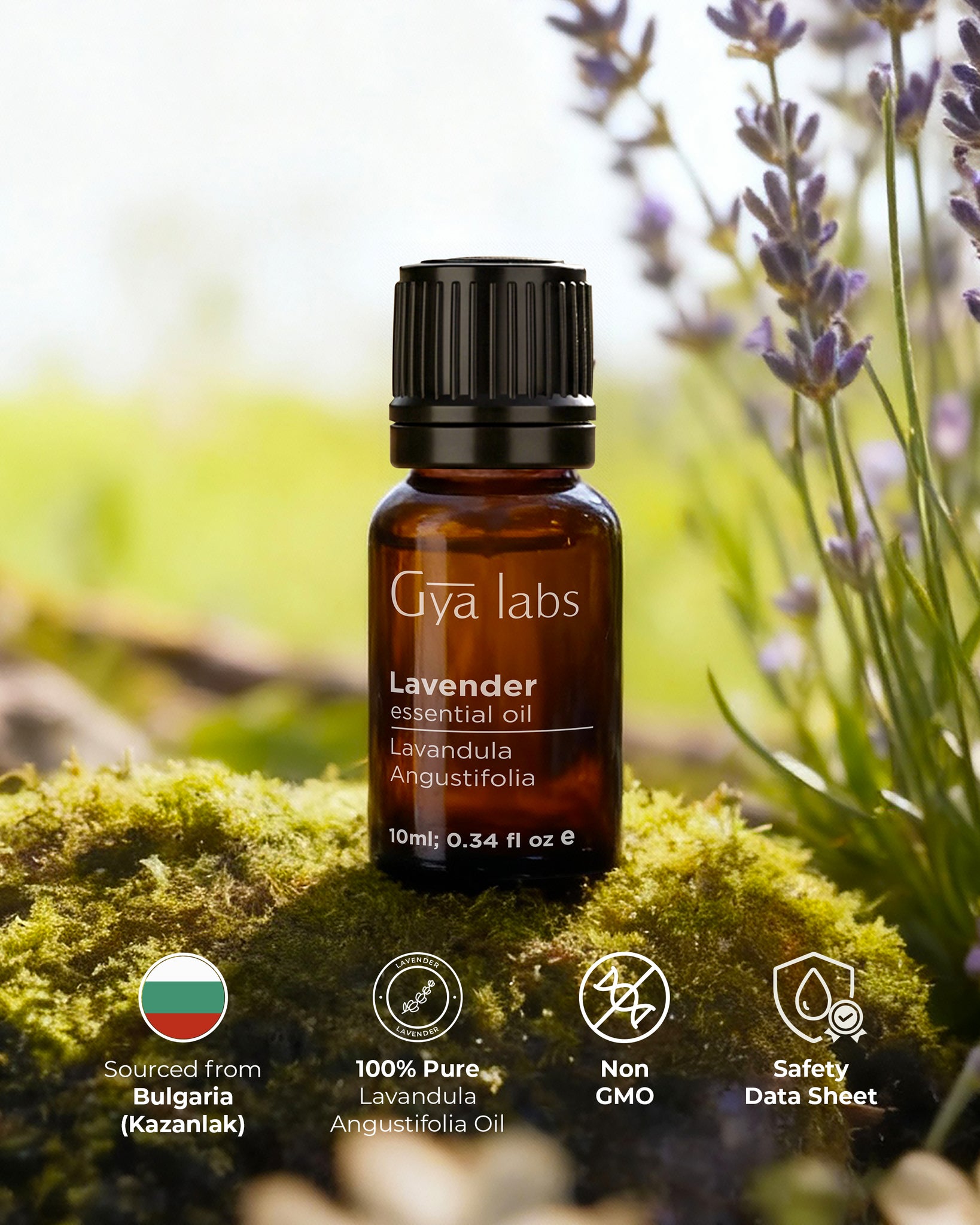 Lavender Oil