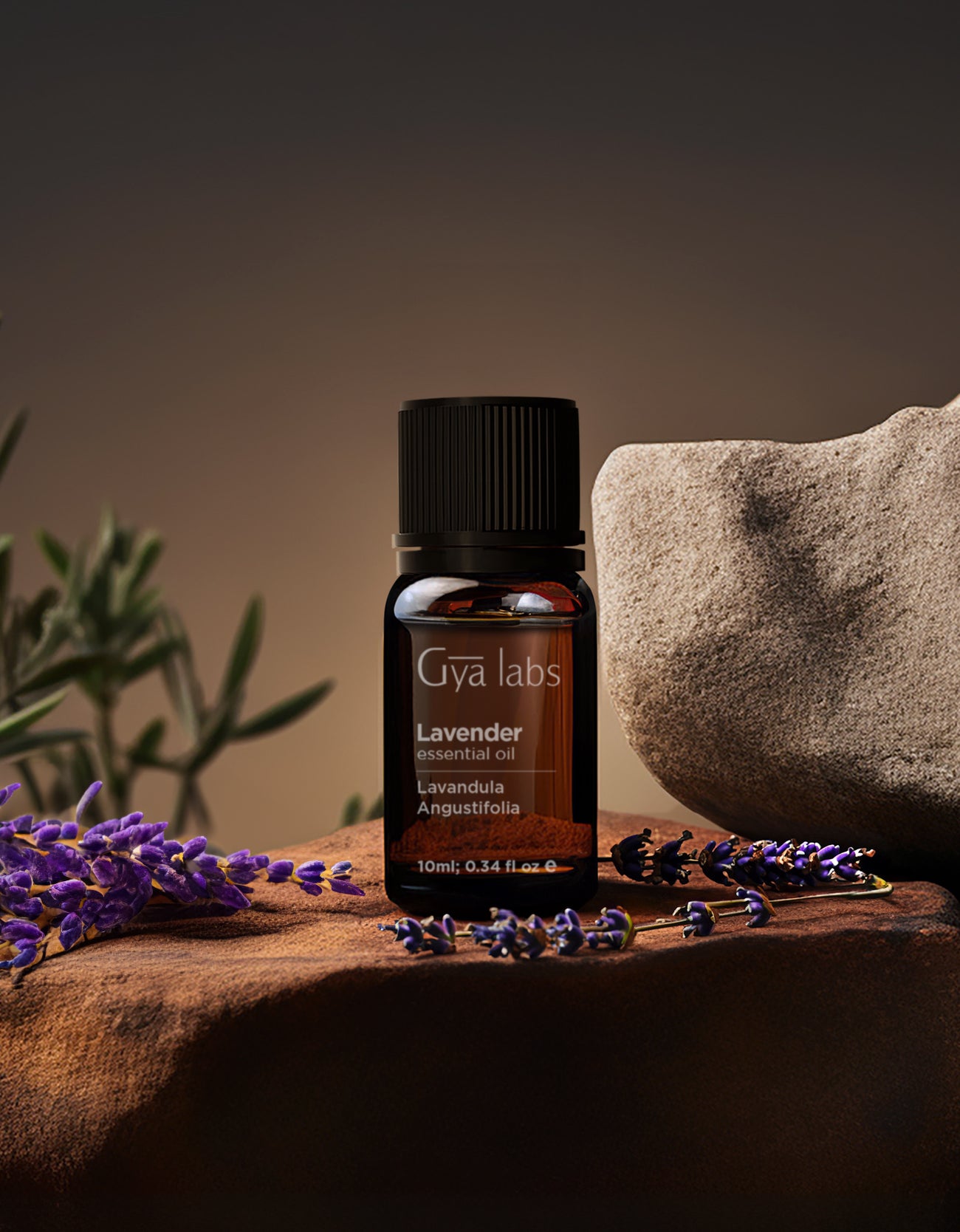 Lavender Oil