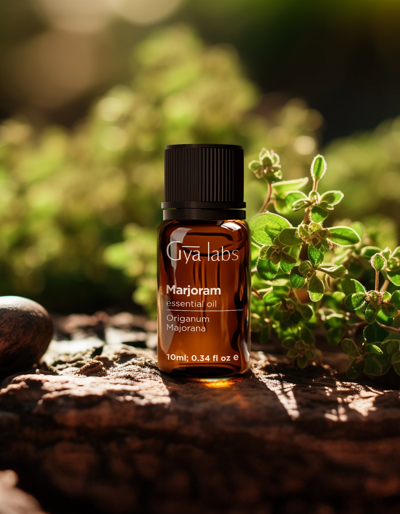 Marjoram Oil