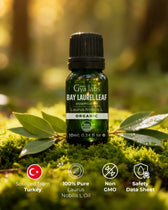 Organic Bay Leaf Oil