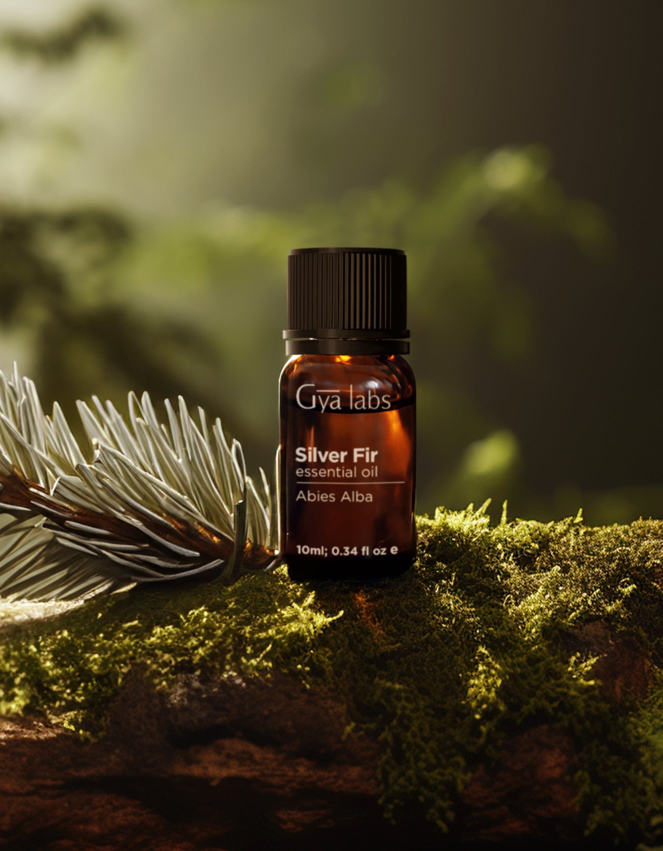 Silver Fir Oil