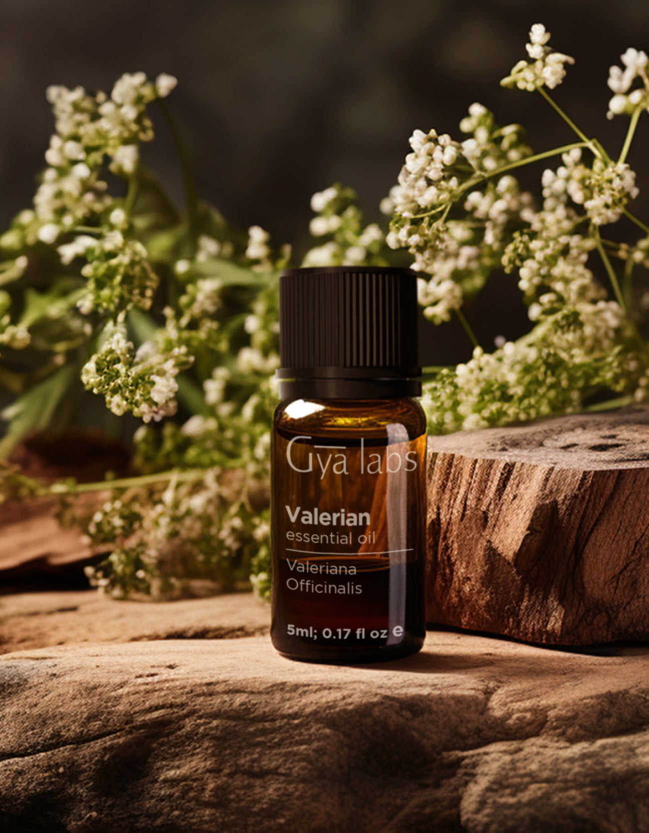 Valerian Oil