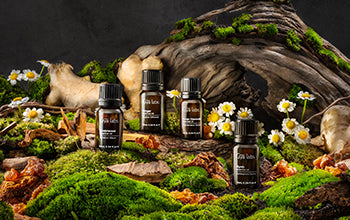 Essential Oil 101: All About Our All-Natural Extract Oils