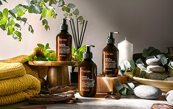 Bodycare 101: Everything To Know About Bodycare Essentials