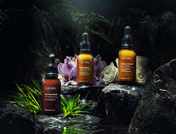 Skincare 101: Everything To Know About Our Skincare Essentials