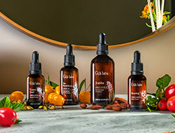 Carrier Oils 101: Everything To Know About Our All-Natural Extracts