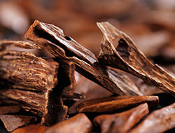 Sandalwood Essential Oil: Benefits & Its Soothing Uses