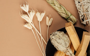 Palo Santo Essential Oil: Its Benefits & Many Uses