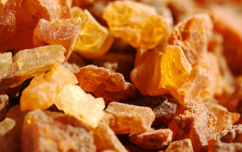 Myrrh Essential Oil: Its Benefits & Many Uses
