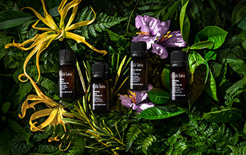 Blends 101: Everything To Know About Essential Oil Blends