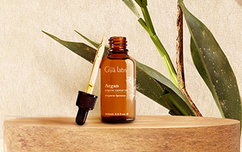 Jojoba Carrier Oil: An Enriching Oil With Many Uses