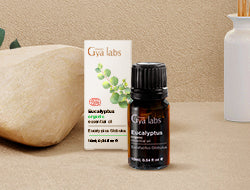 Are Organic Oils Truly Better?