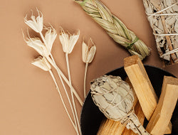 Palo Santo Essential Oil: Its Benefits & Many Uses