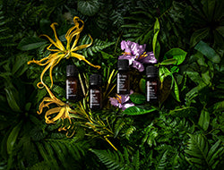 Blends 101: Everything To Know About Essential Oil Blends