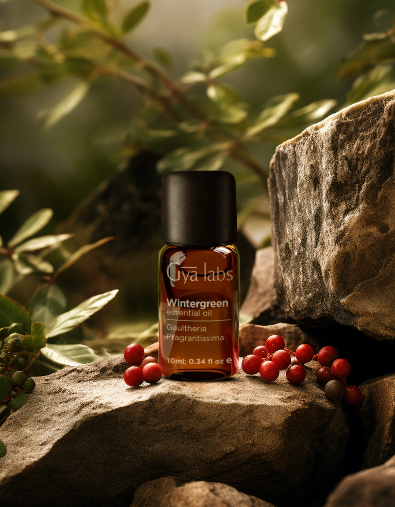 Wintergreen Oil