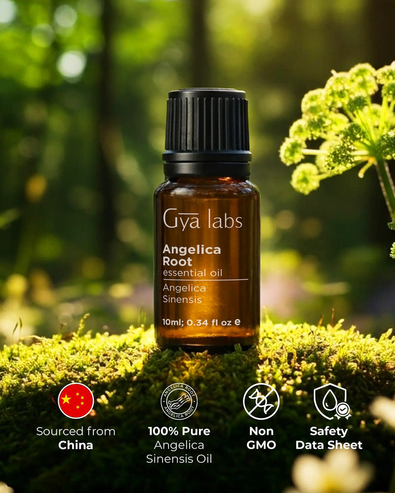 Angelica Root Oil