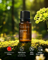 Angelica Root Oil