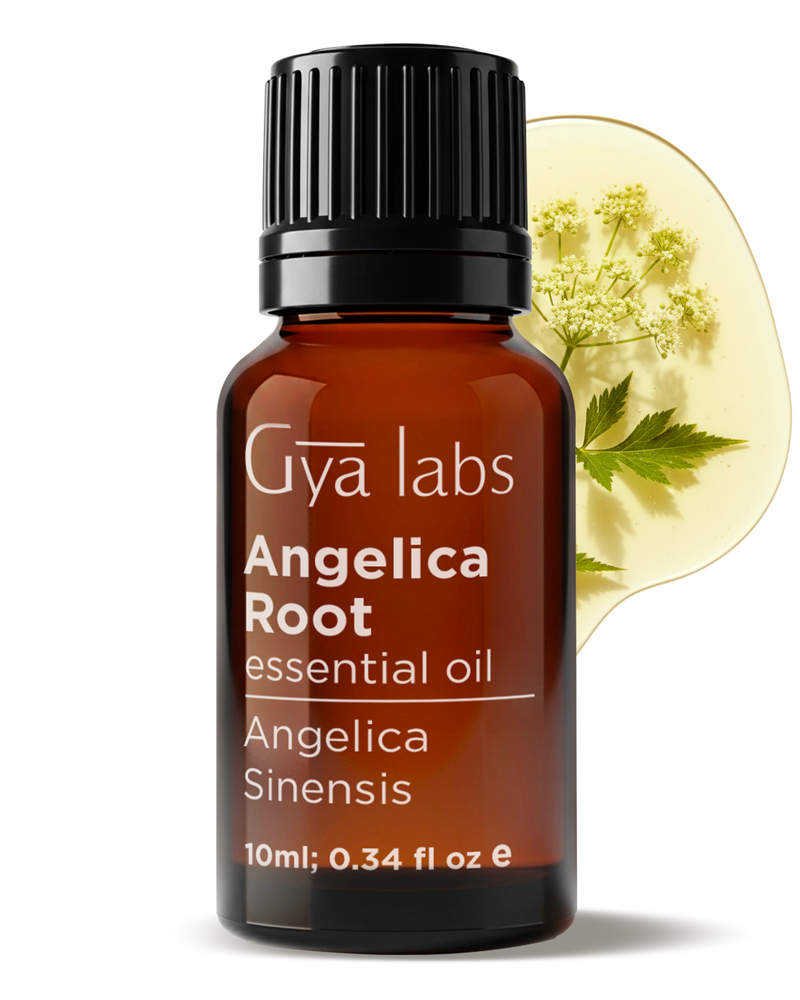 Angelica Root Oil