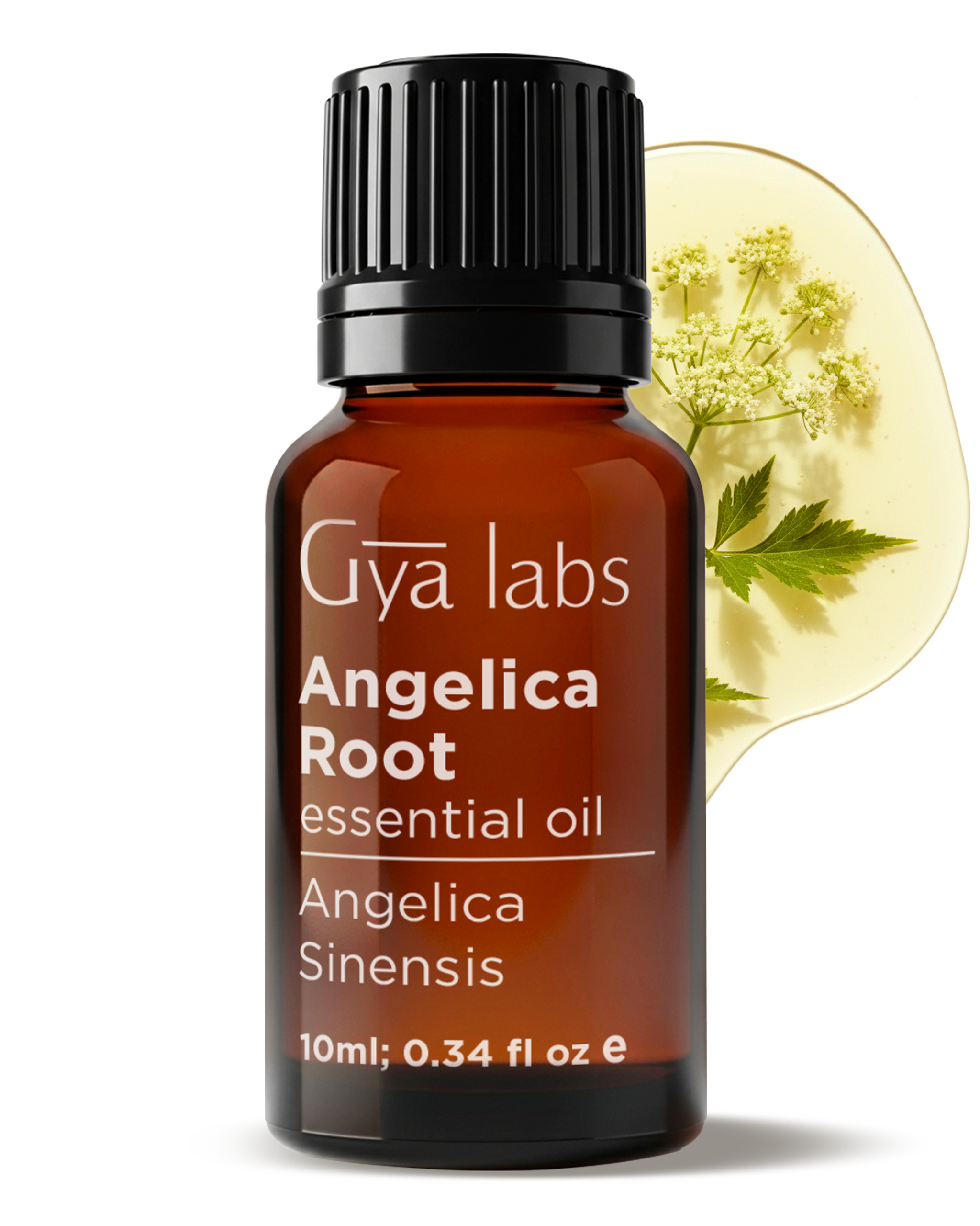 Angelica Root Oil