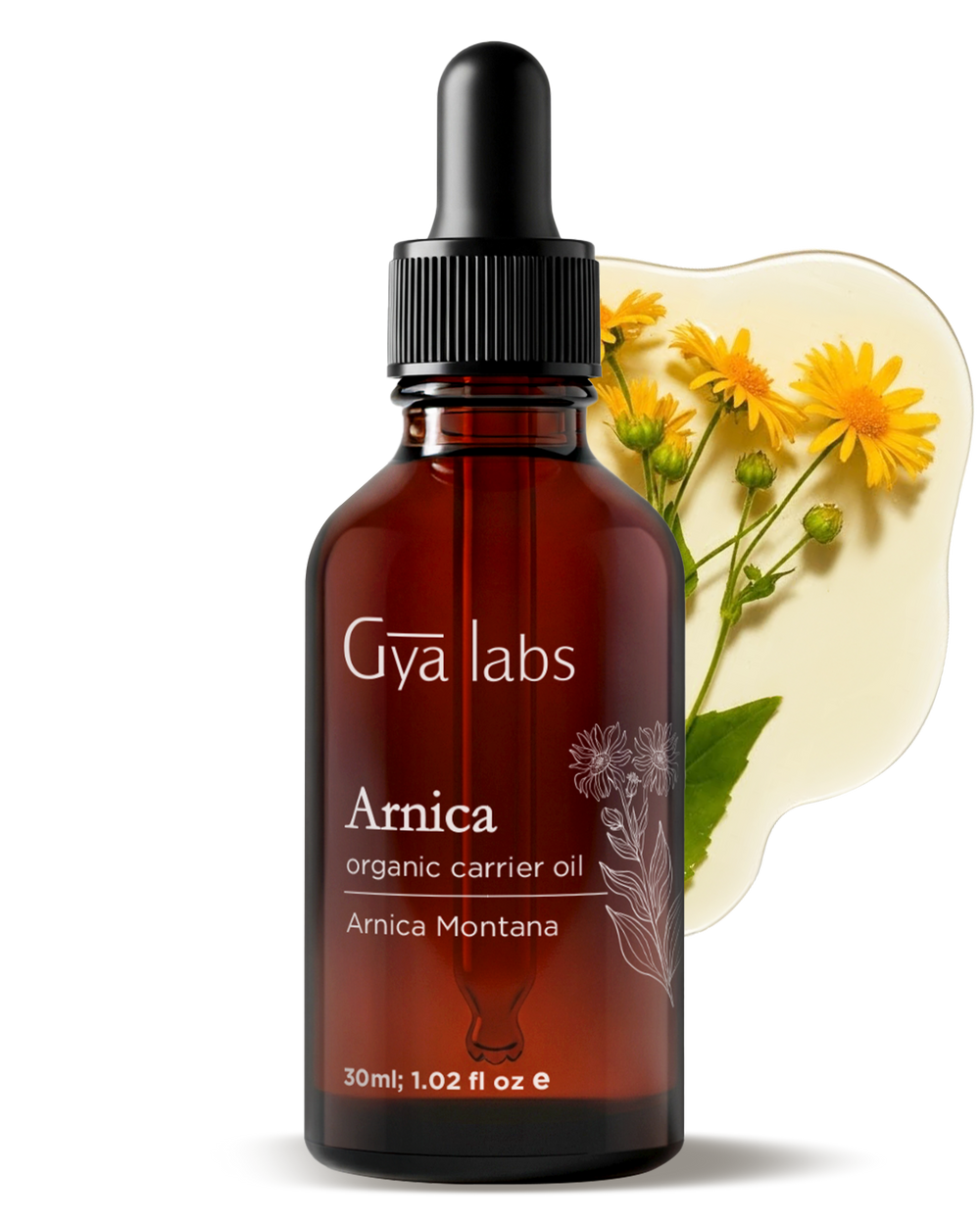 Arnica Carrier Oil