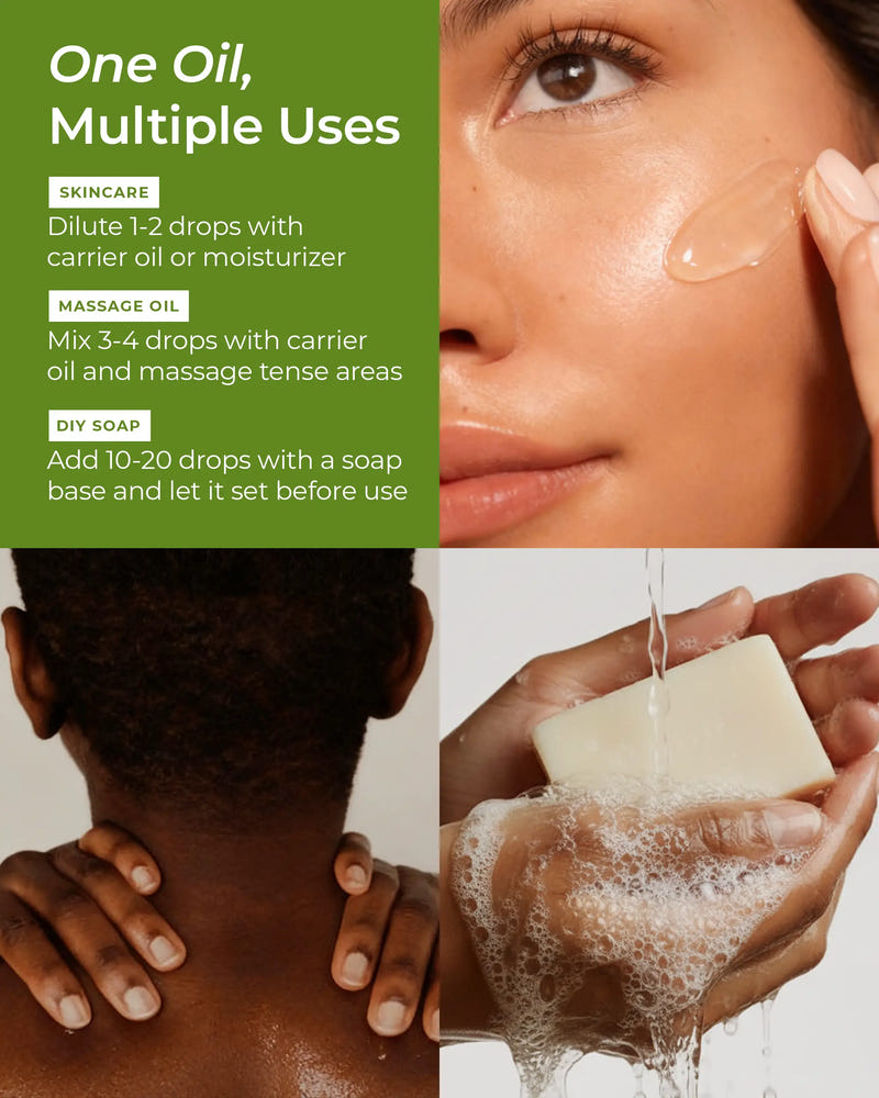 uses of Basil Essential Oil
