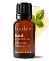 Basil Oil