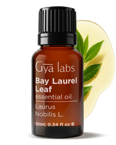 Bay Laurel Leaf Oil