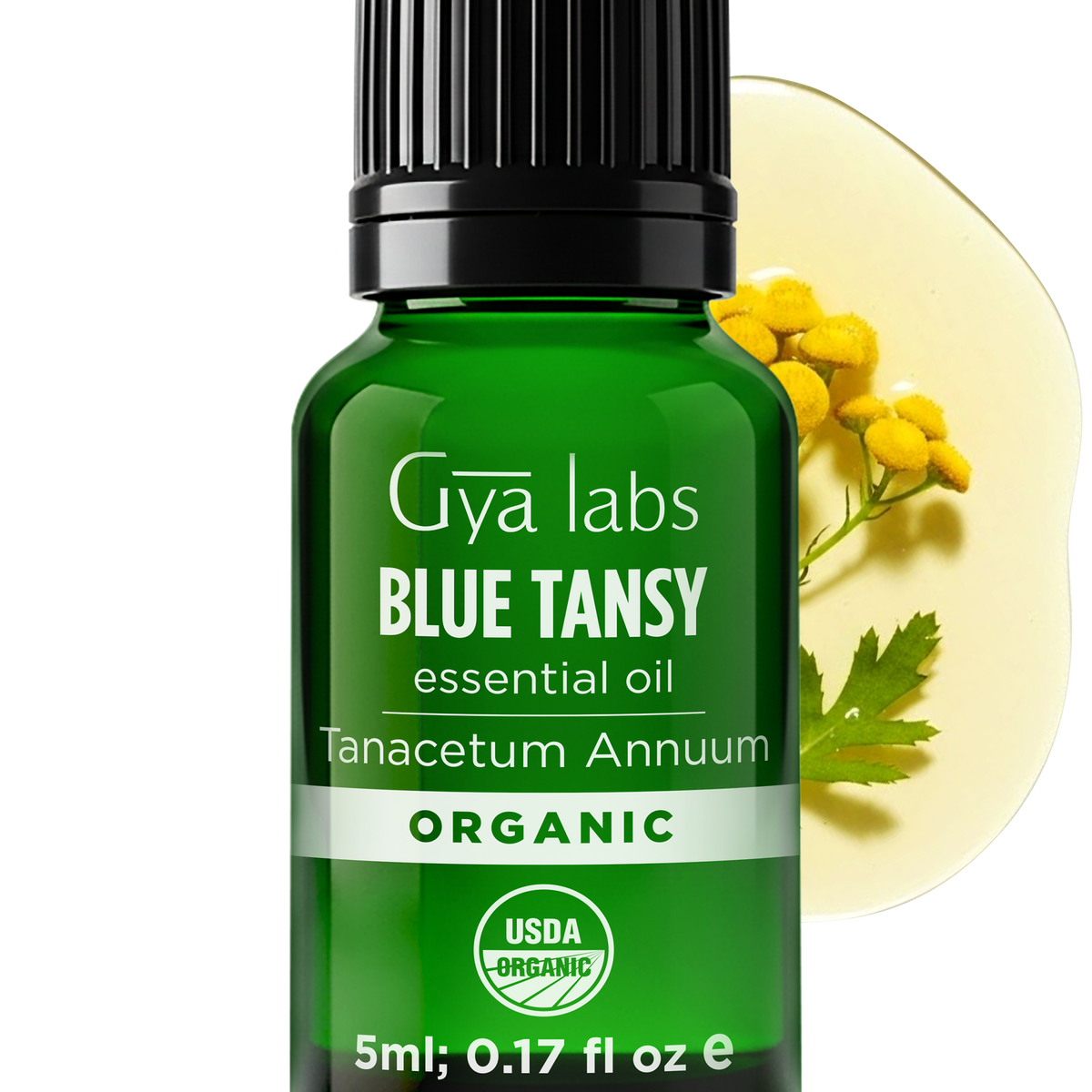 Blue Tansy Organic Essential Oil – Skin & Calm Care – Gya Labs