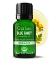 Organic Blue Tansy Oil