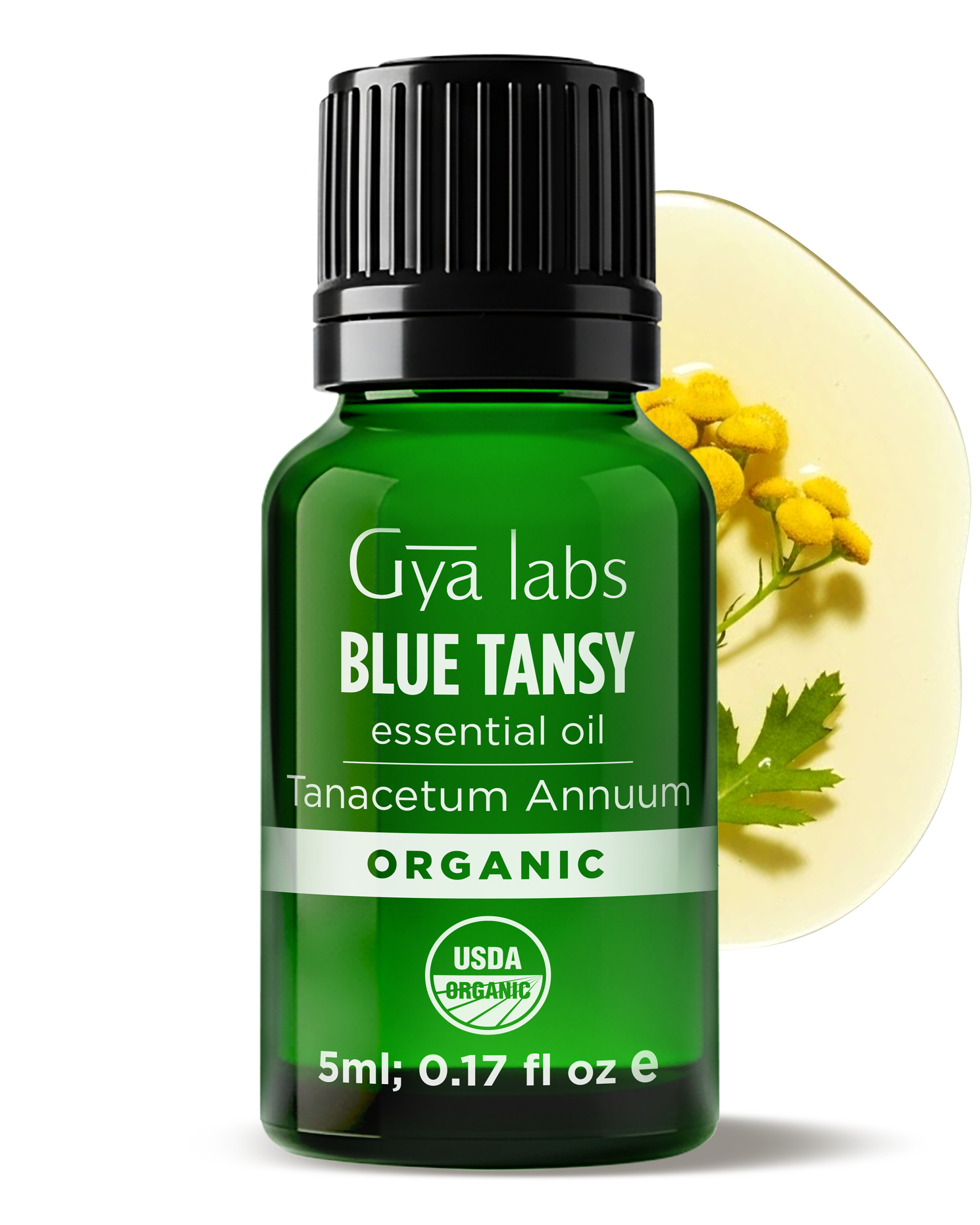 Organic Blue Tansy Oil