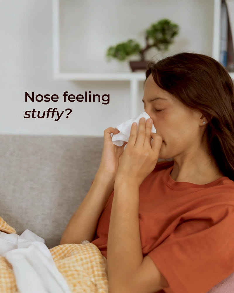 Cajeput Essential Oil