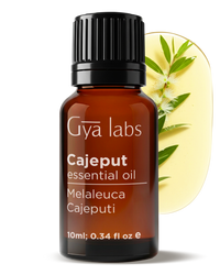 Cajeput Essential Oil