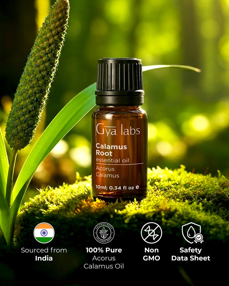 Calamus Root Essential Oil
