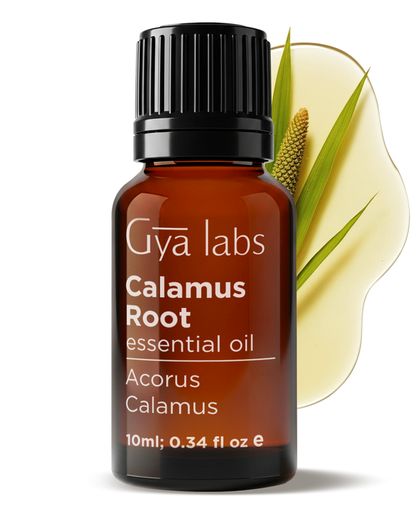 Calamus Root Essential Oil
